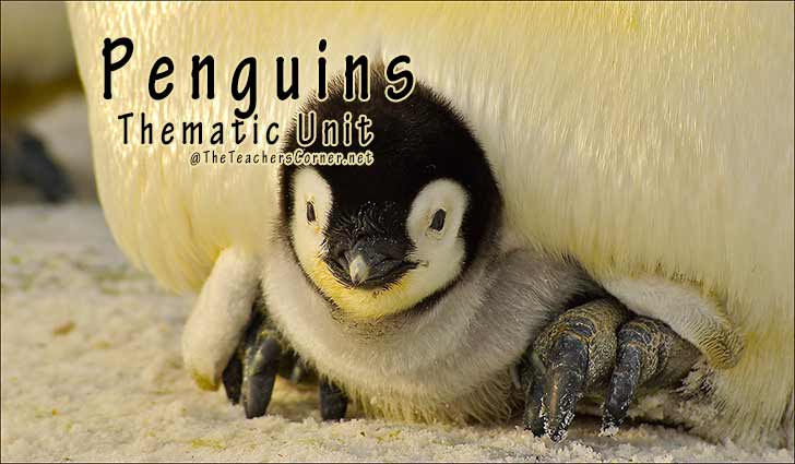 Penguin Thematic Unit